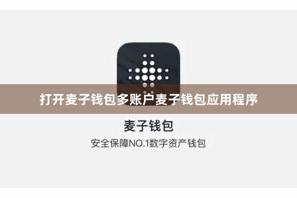 打开麦子钱包多账户麦子钱包应用程序