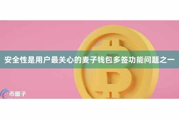 安全性是用户最关心的麦子钱包多签功能问题之一