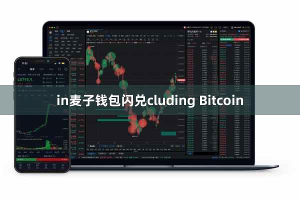in麦子钱包闪兑cluding Bitcoin