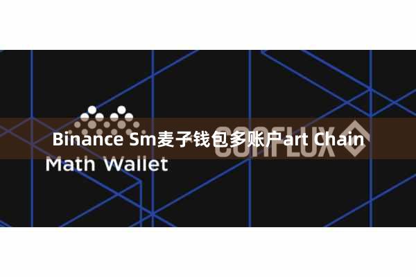 Binance Sm麦子钱包多账户art Chain