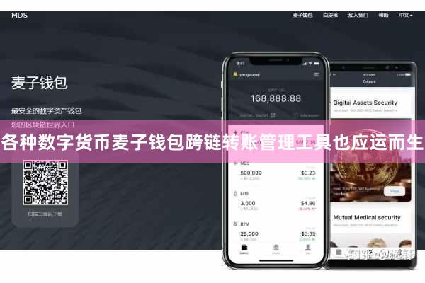 各种数字货币麦子钱包跨链转账管理工具也应运而生