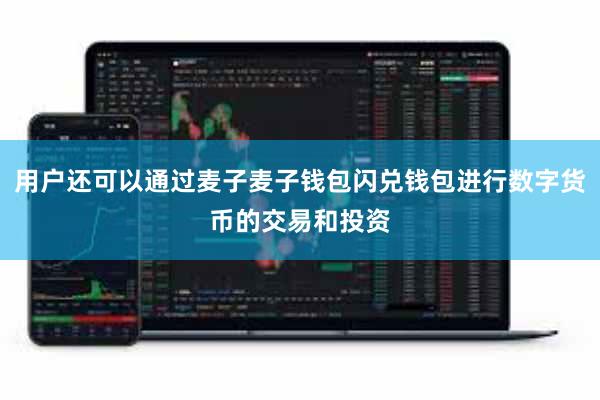 用户还可以通过麦子麦子钱包闪兑钱包进行数字货币的交易和投资