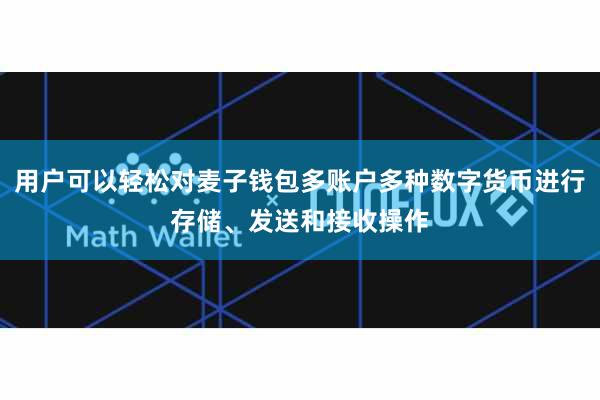 用户可以轻松对麦子钱包多账户多种数字货币进行存储、发送和接收操作