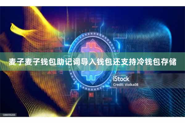 麦子麦子钱包助记词导入钱包还支持冷钱包存储