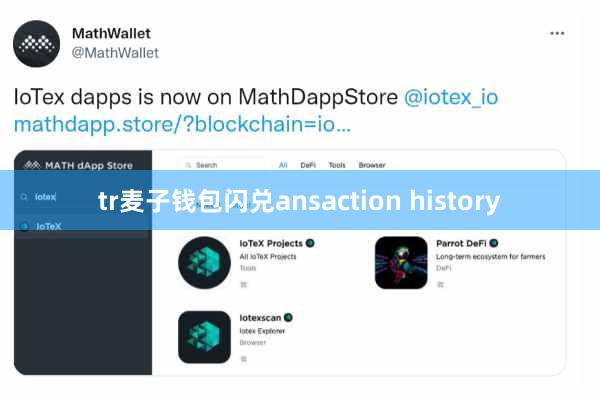 tr麦子钱包闪兑ansaction history