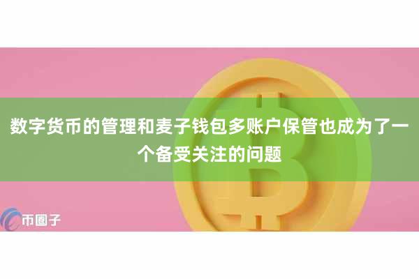 数字货币的管理和麦子钱包多账户保管也成为了一个备受关注的问题
