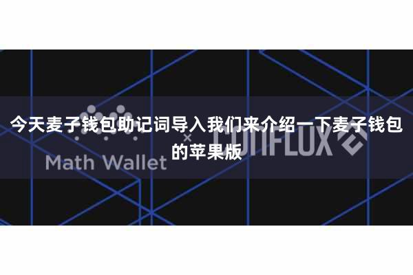 今天麦子钱包助记词导入我们来介绍一下麦子钱包的苹果版