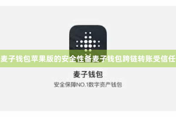 麦子钱包苹果版的安全性备麦子钱包跨链转账受信任