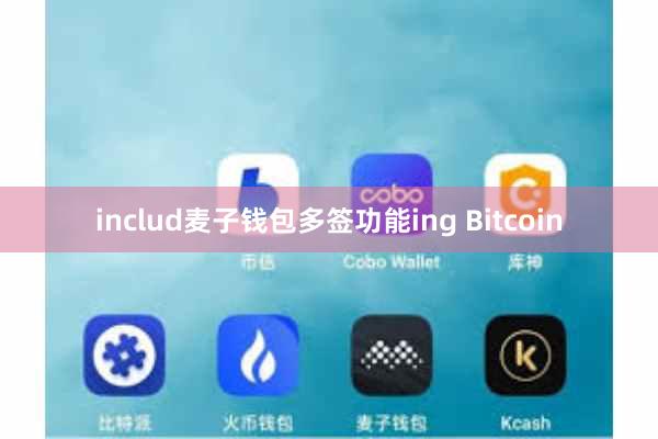 includ麦子钱包多签功能ing Bitcoin