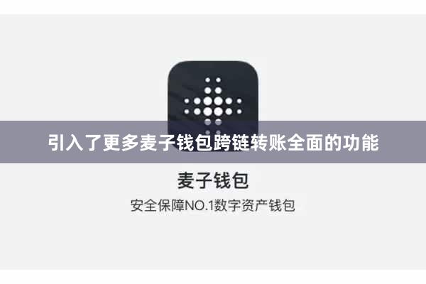 引入了更多麦子钱包跨链转账全面的功能