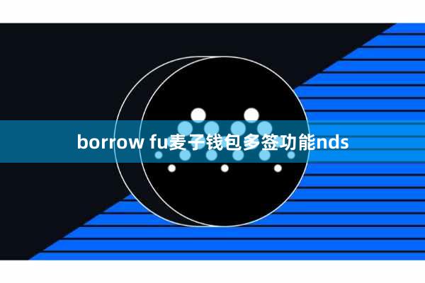 borrow fu麦子钱包多签功能nds