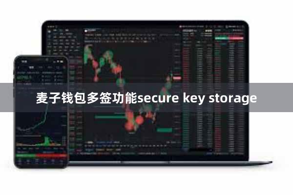 麦子钱包多签功能secure key storage