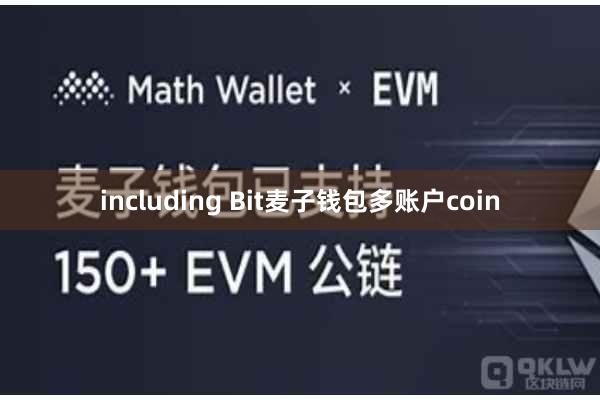 including Bit麦子钱包多账户coin