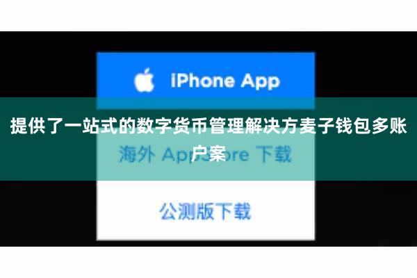 提供了一站式的数字货币管理解决方麦子钱包多账户案