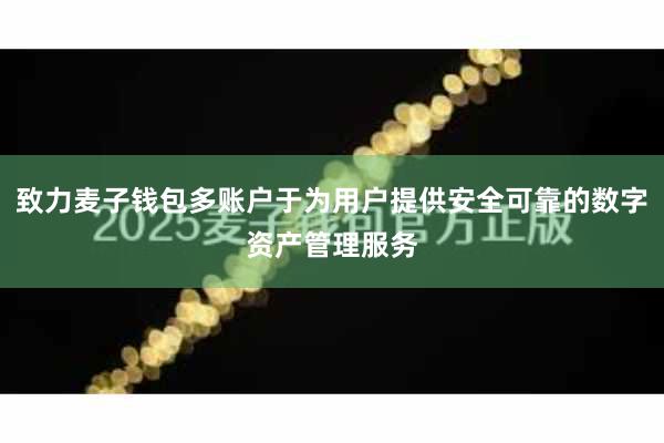 致力麦子钱包多账户于为用户提供安全可靠的数字资产管理服务