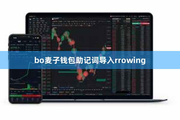 bo麦子钱包助记词导入rrowing