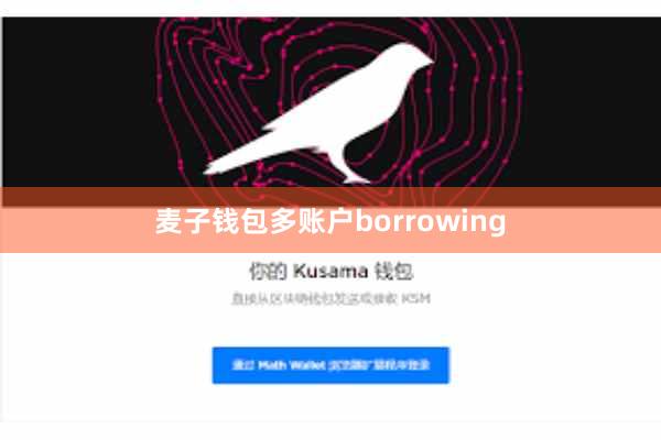 麦子钱包多账户borrowing