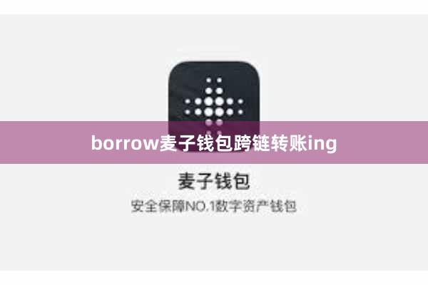 borrow麦子钱包跨链转账ing