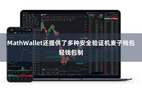 MathWallet还提供了多种安全验证机麦子钱包轻钱包制