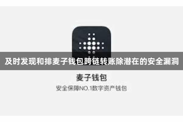 及时发现和排麦子钱包跨链转账除潜在的安全漏洞