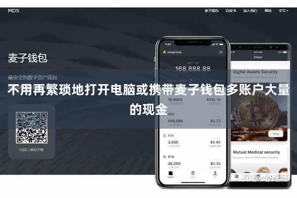 不用再繁琐地打开电脑或携带麦子钱包多账户大量的现金