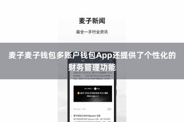麦子麦子钱包多账户钱包App还提供了个性化的财务管理功能