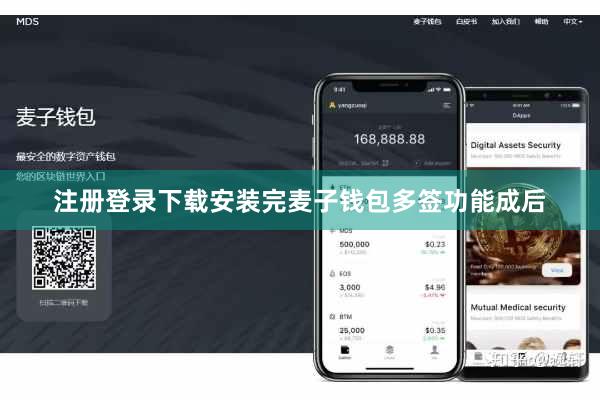 注册登录下载安装完麦子钱包多签功能成后