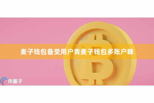 麦子钱包备受用户青麦子钱包多账户睐
