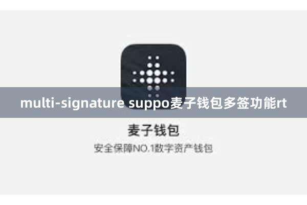 multi-signature suppo麦子钱包多签功能rt