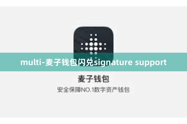 multi-麦子钱包闪兑signature support