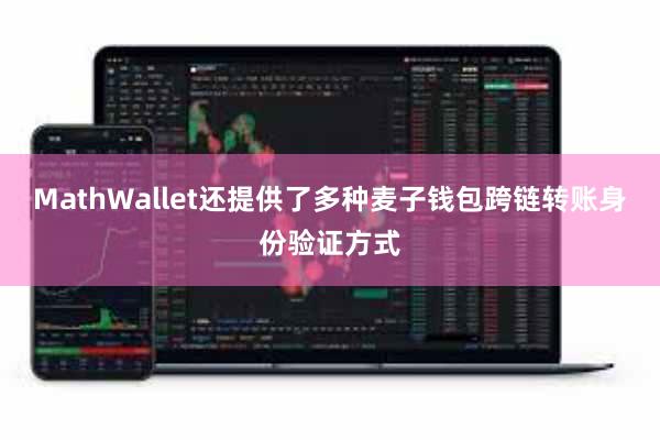 MathWallet还提供了多种麦子钱包跨链转账身份验证方式