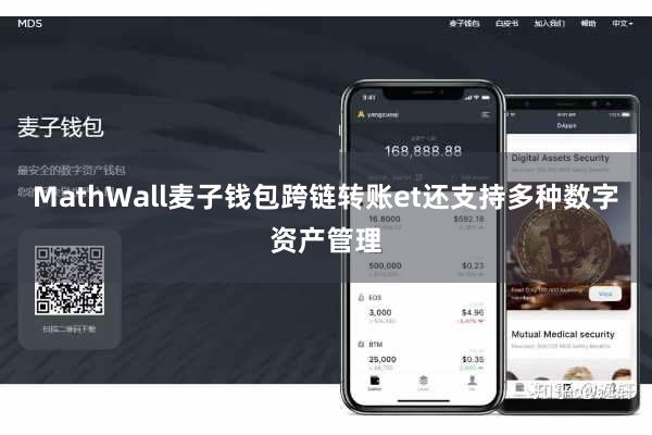 MathWall麦子钱包跨链转账et还支持多种数字资产管理